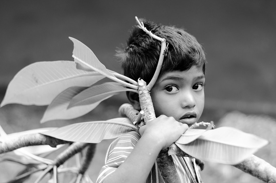 Location: B.R.Hills, Karnataka, India