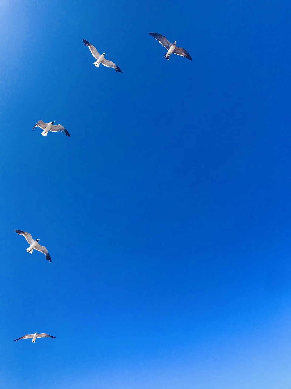 Location: Playa Bagdad, Mexico