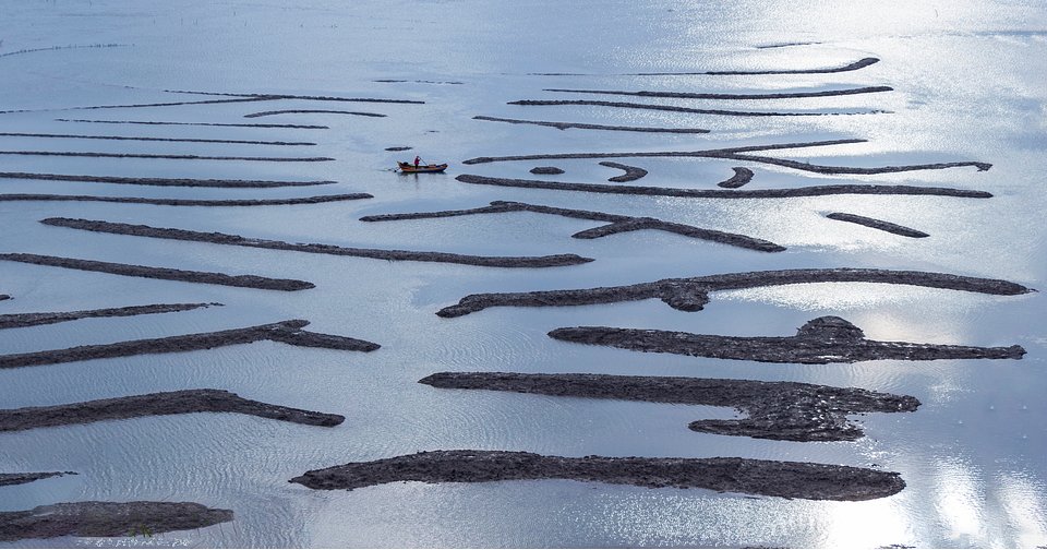 Location: Xiapu Ningde Fujian, China