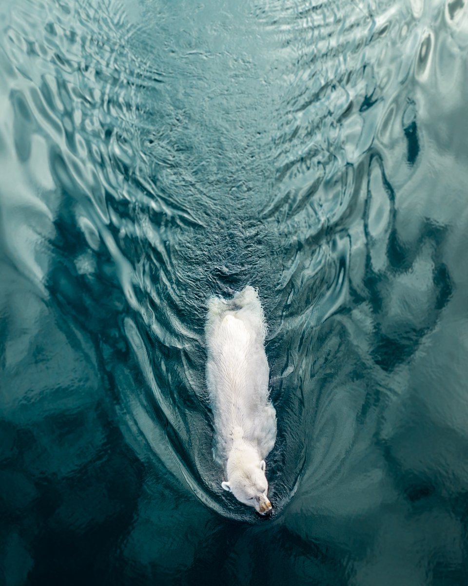 Location: Baffin Island, Canadá