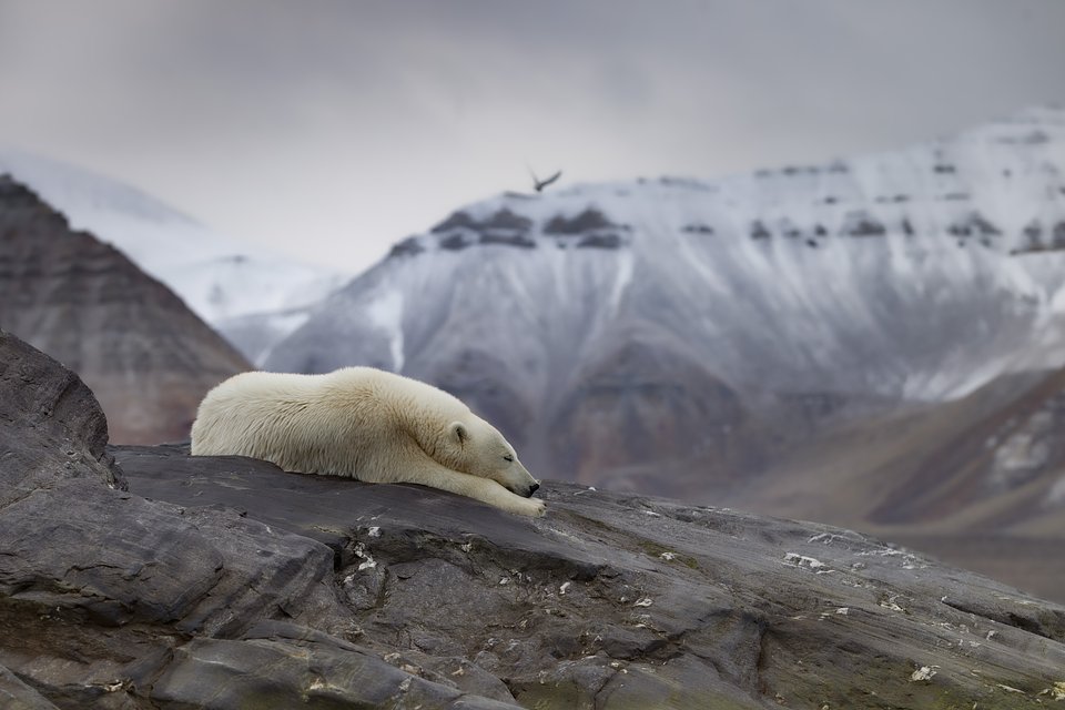 Ubicación: Svalbard, Noruega