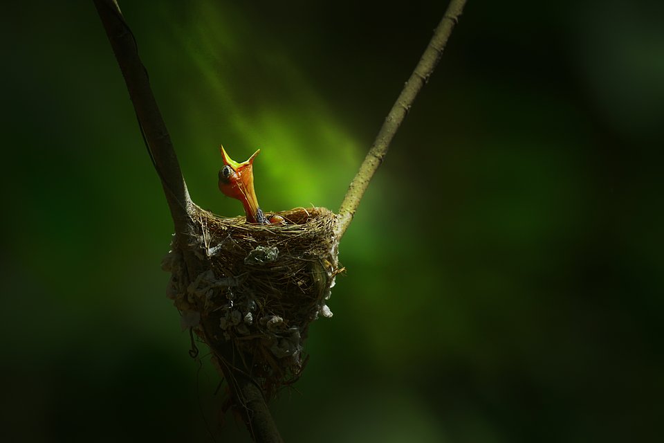 Location: Bogra, Bangladesh