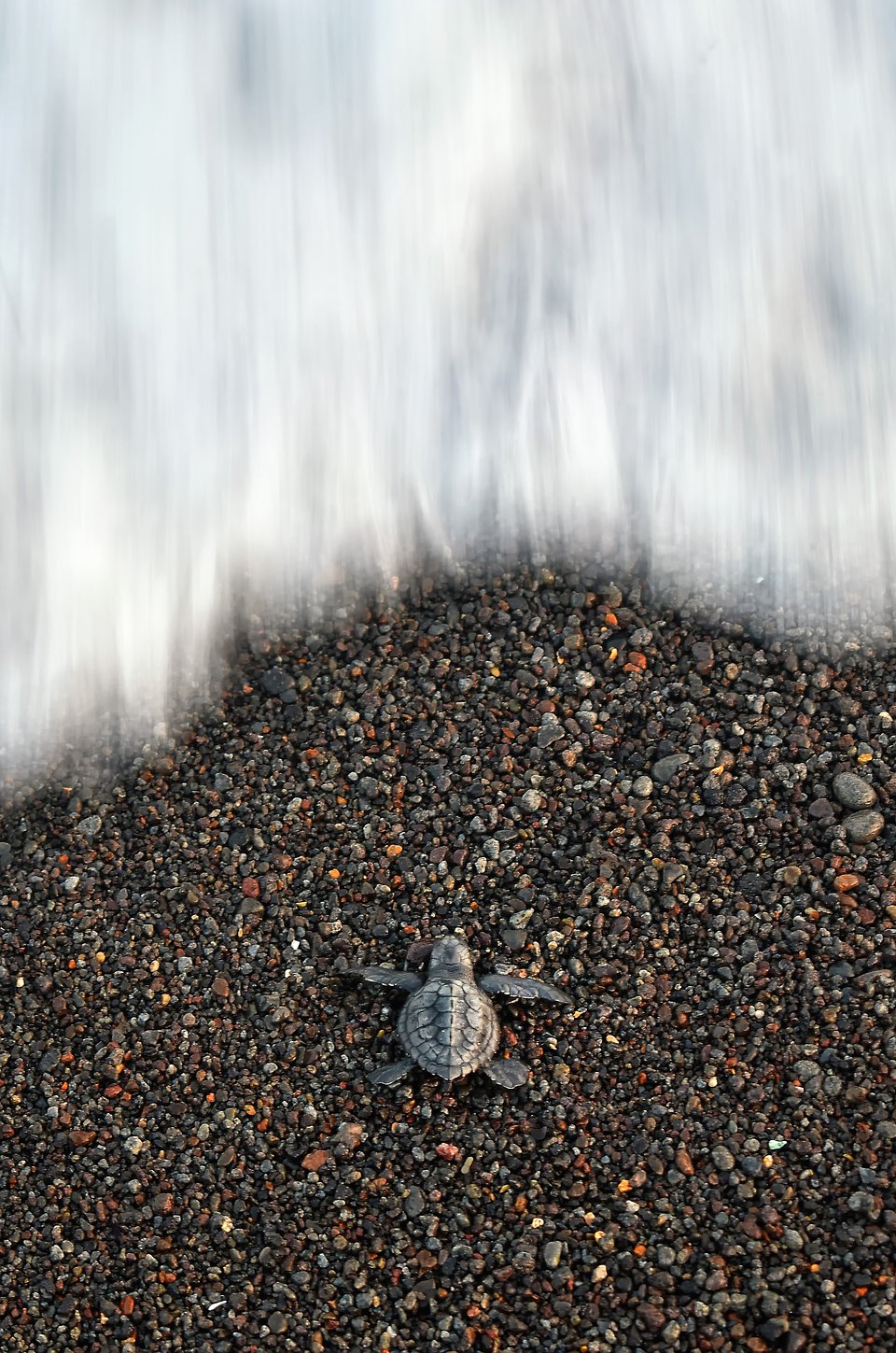 Location: Pantai Samas, Indonesia