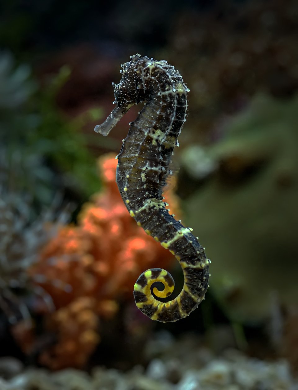 Location: Jakarta, Indonesia