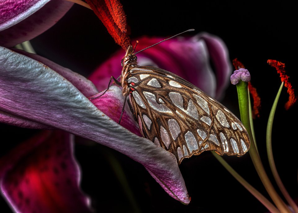 Location: Guatemala