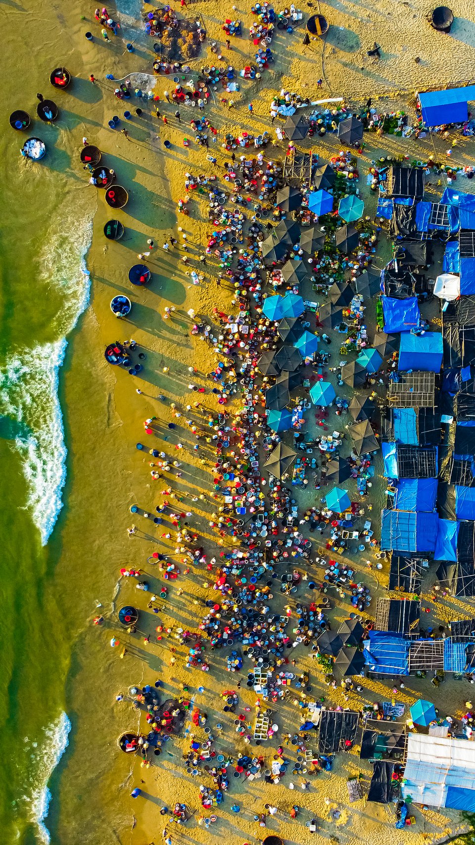 Location: Chợ cá Tam Tiến, Quảng Nam, Vietnam