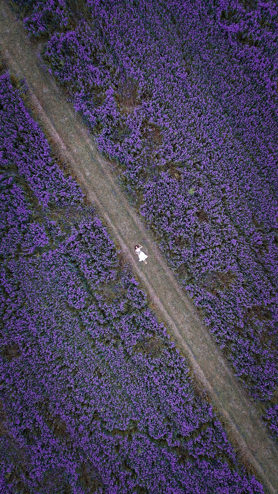 Location: Yuzhno-Sakhalinsk, Russia