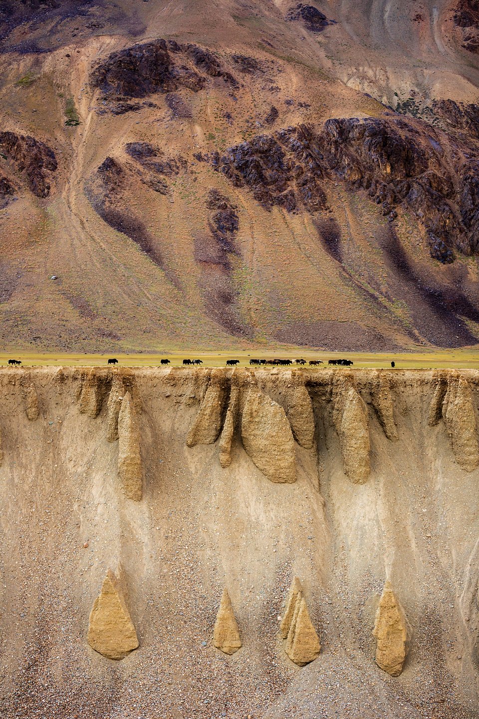 Location: Sarchu, Himalaya, India