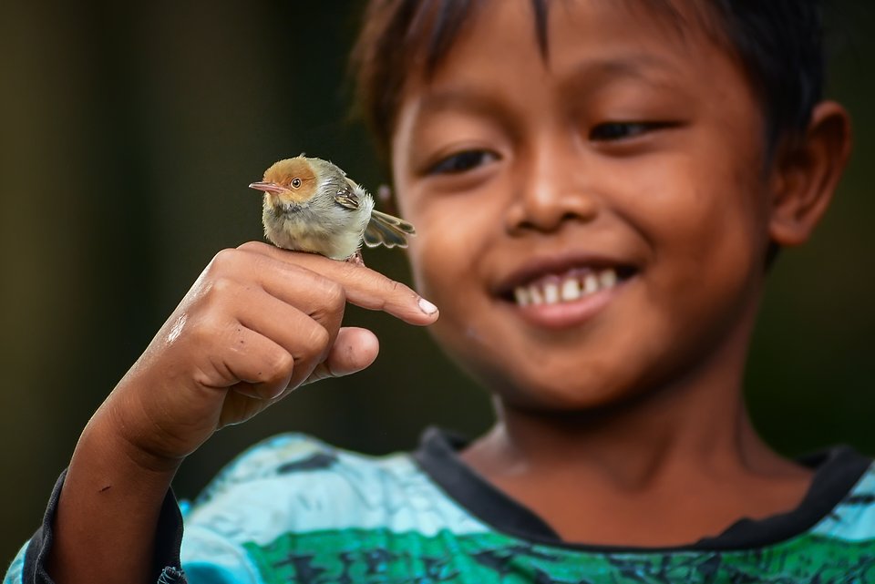 Location: Narmada, Indonesia