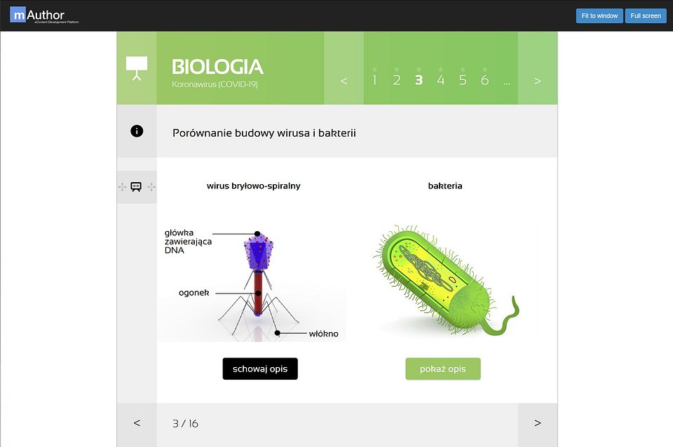 Źródło: Learnetic