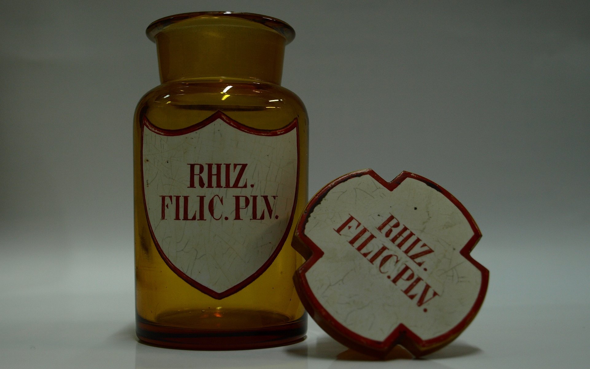 Rhizoma Filicis – kłącze paprotnika