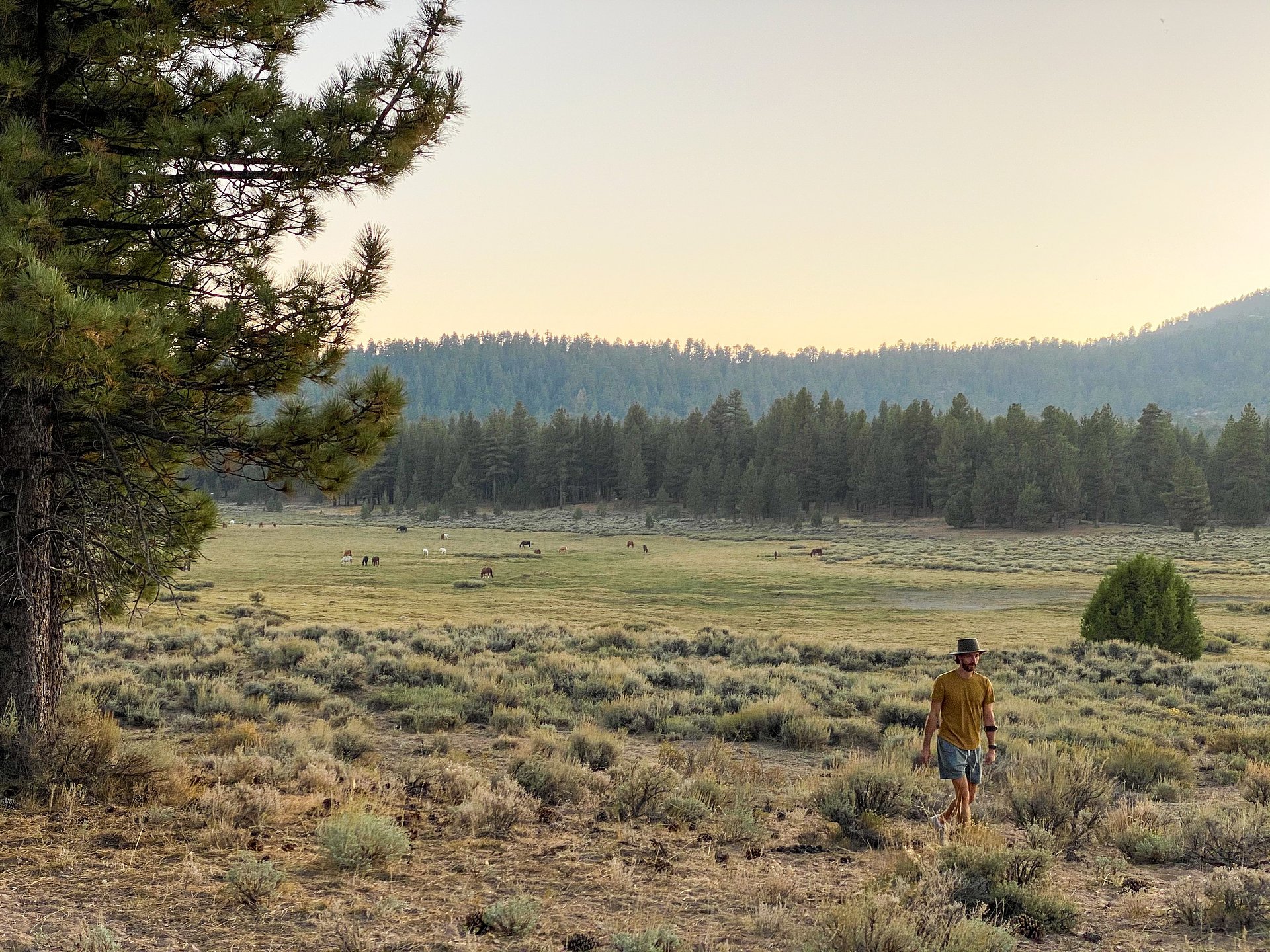 377Acre Nature Resort Valley Ranch in Big Bear Hits Market for