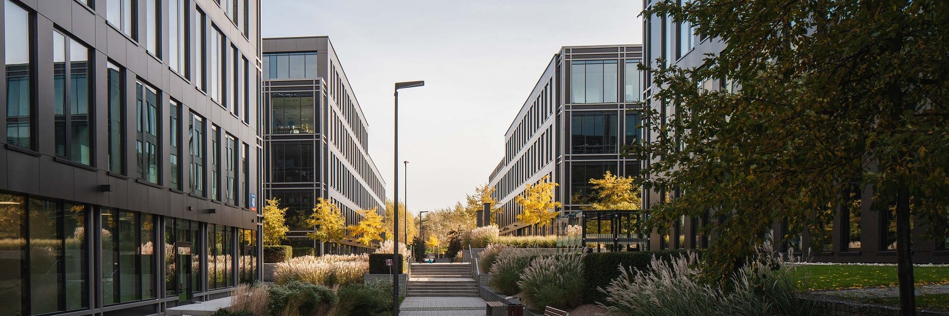 White Star Real Estate rozwija usługi asset, property oraz facility